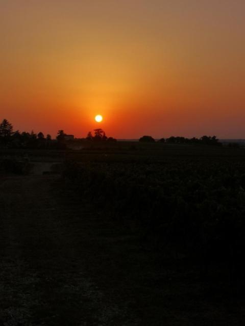 L Escale Des Vignes Gite Proche Saint Emilion Chateau Beynat Villa Exterior photo